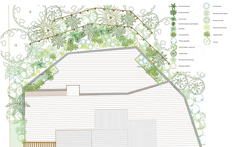 Plan de plantation-stephanie-laborde